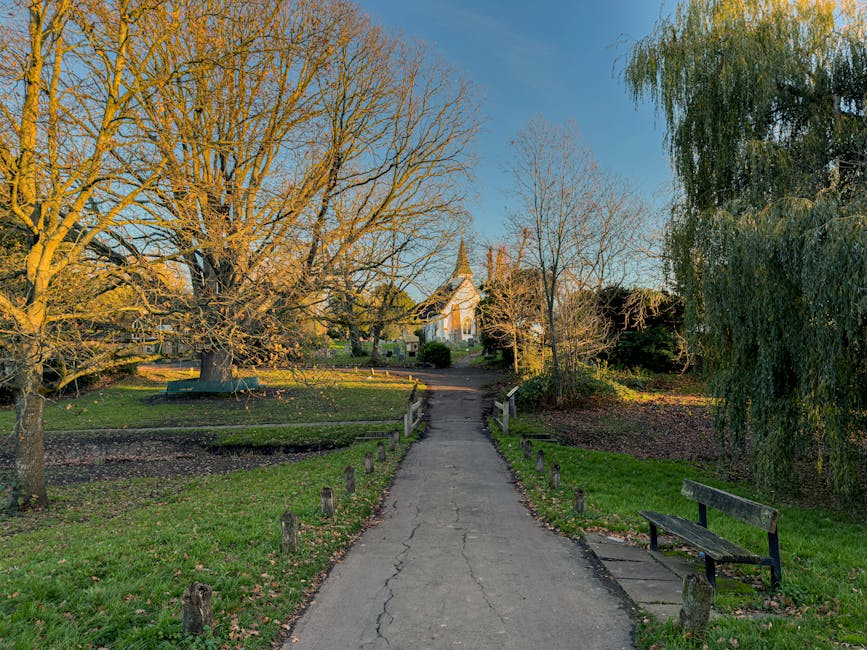 A paved pathway leads through a small public park or garden area, with a variety of trees on both sides; one large tree on the left with leafless branches and a textured trunk, and a weeping willow on the right with drooping green foliage. The path is lined with short wooden posts and is cracked in places, suggesting some wear. To the right of the path, there is a wooden bench with a metal frame, positioned on a slightly uneven paved area. The background features a modest white building with a peaked roof and a small spire, partially obscured by the surrounding trees and bushes. The scene is illuminated by soft, natural daylight, indicating late afternoon or early evening, with a clear blue sky overhead. The environment appears quiet and well-maintained, typical of a tranquil outdoor space where waste management services like rubbish collection might be part of routine clean-up efforts by local providers such as Rubbish Collection Ealing, supporting on-site clearance or alternative waste handling.